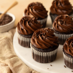 Chocolate Fudge Cupcake